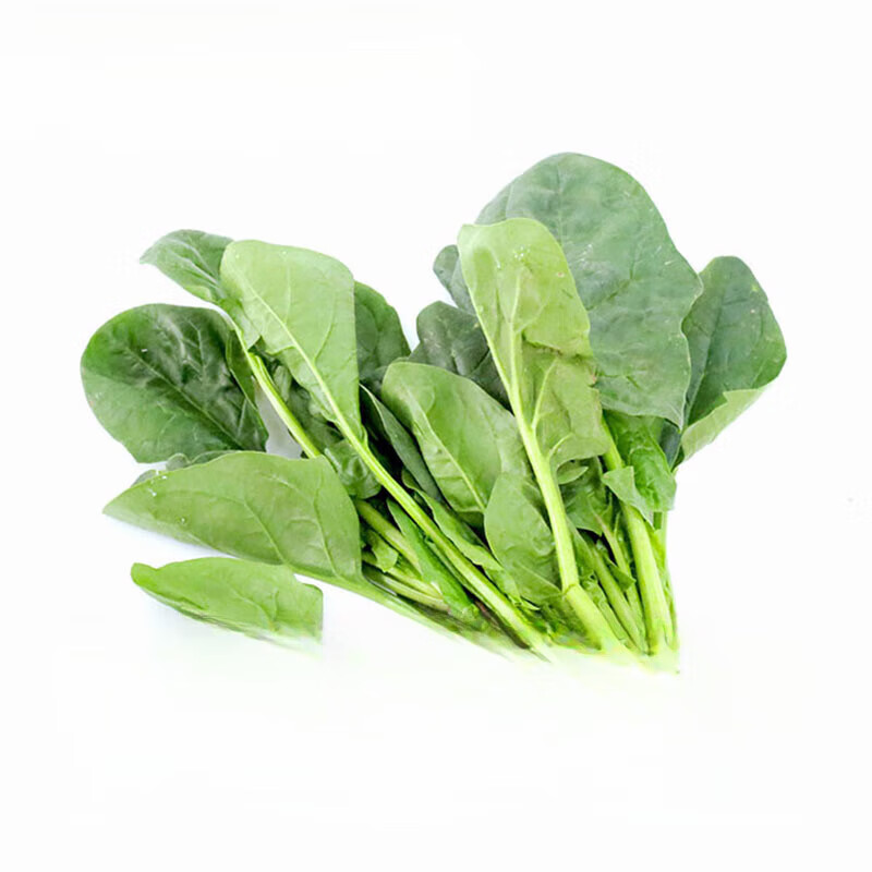 十里馋新鲜蔬菜 菠菜500g 1500g