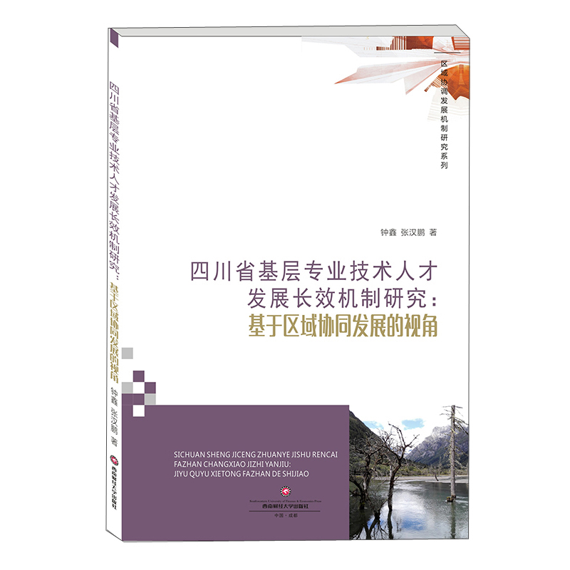 四川省基层专业技术人才发展长效机制研究西