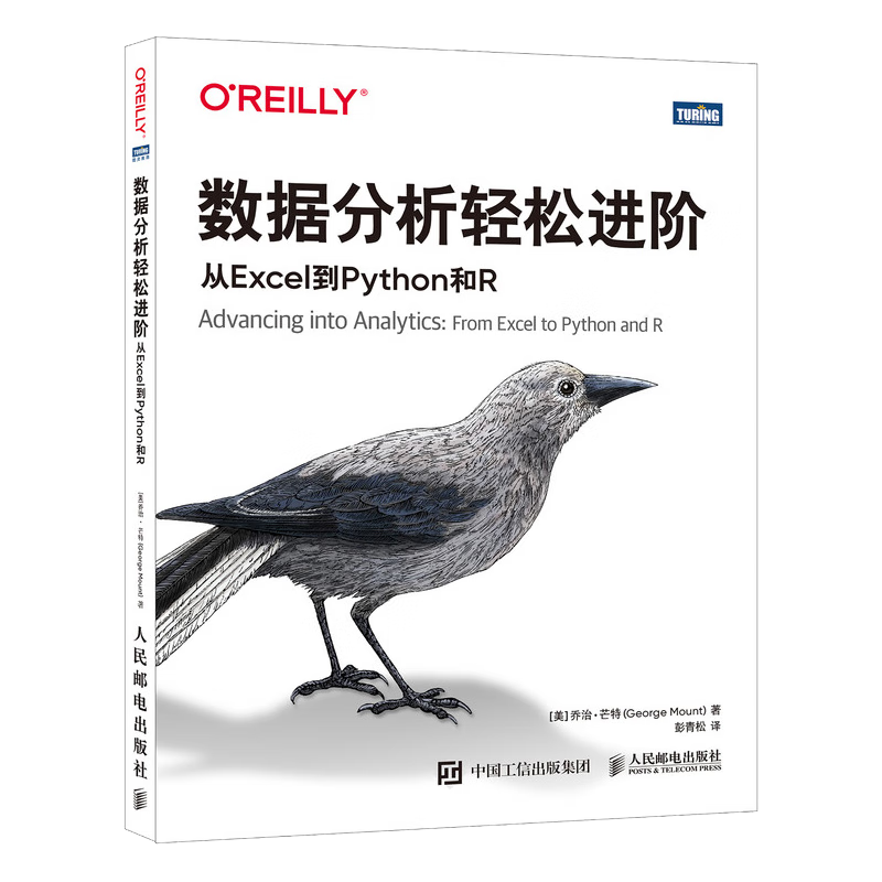 数据分析轻松进阶：从Excel到Python和R（图灵出品）
