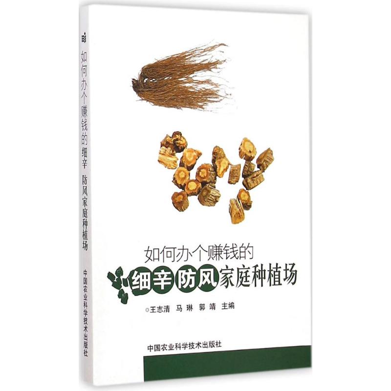 如何办个赚钱的细辛、防风家庭种植场