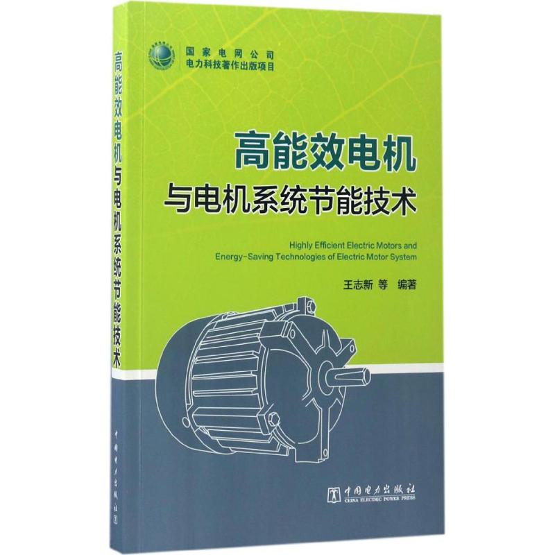 高能效电机与电机系统节能技术 王志新 等 编 书籍