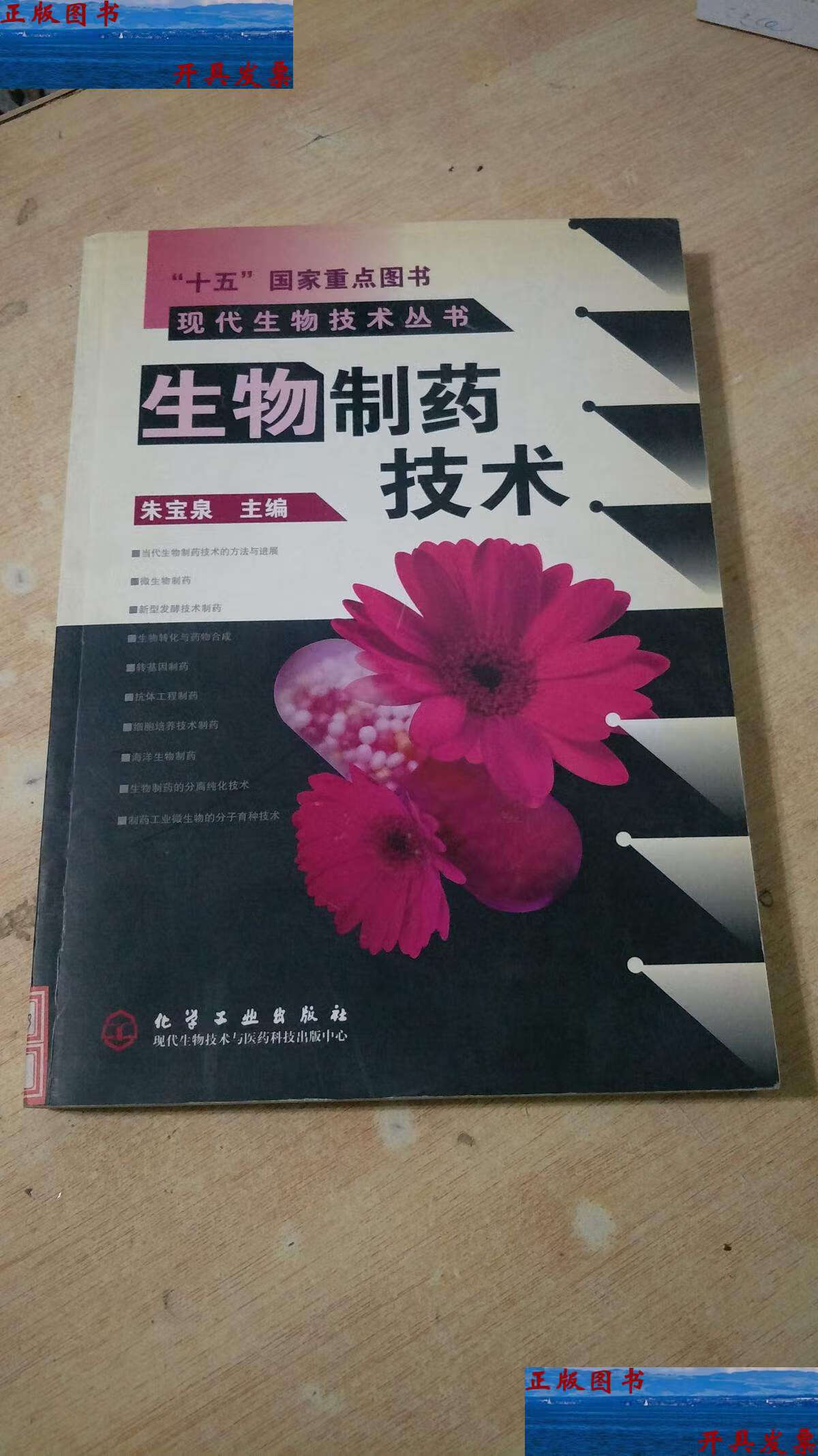 【二手9成新】生物制药技术—现代生物技术丛书 /朱宝泉 化学工业