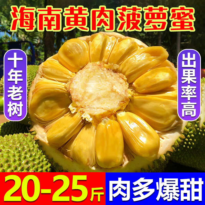 均垚海南菠萝蜜新鲜水果 黄肉波罗菠萝蜜 榴莲蜜 新鲜水果 20-25斤【精选大果人气推荐】