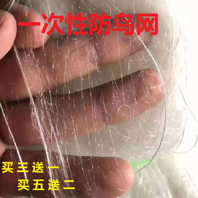 粘网 防麻雀网稻谷樱桃果园菜园大棚出风口一次性防鸟网农田户外防