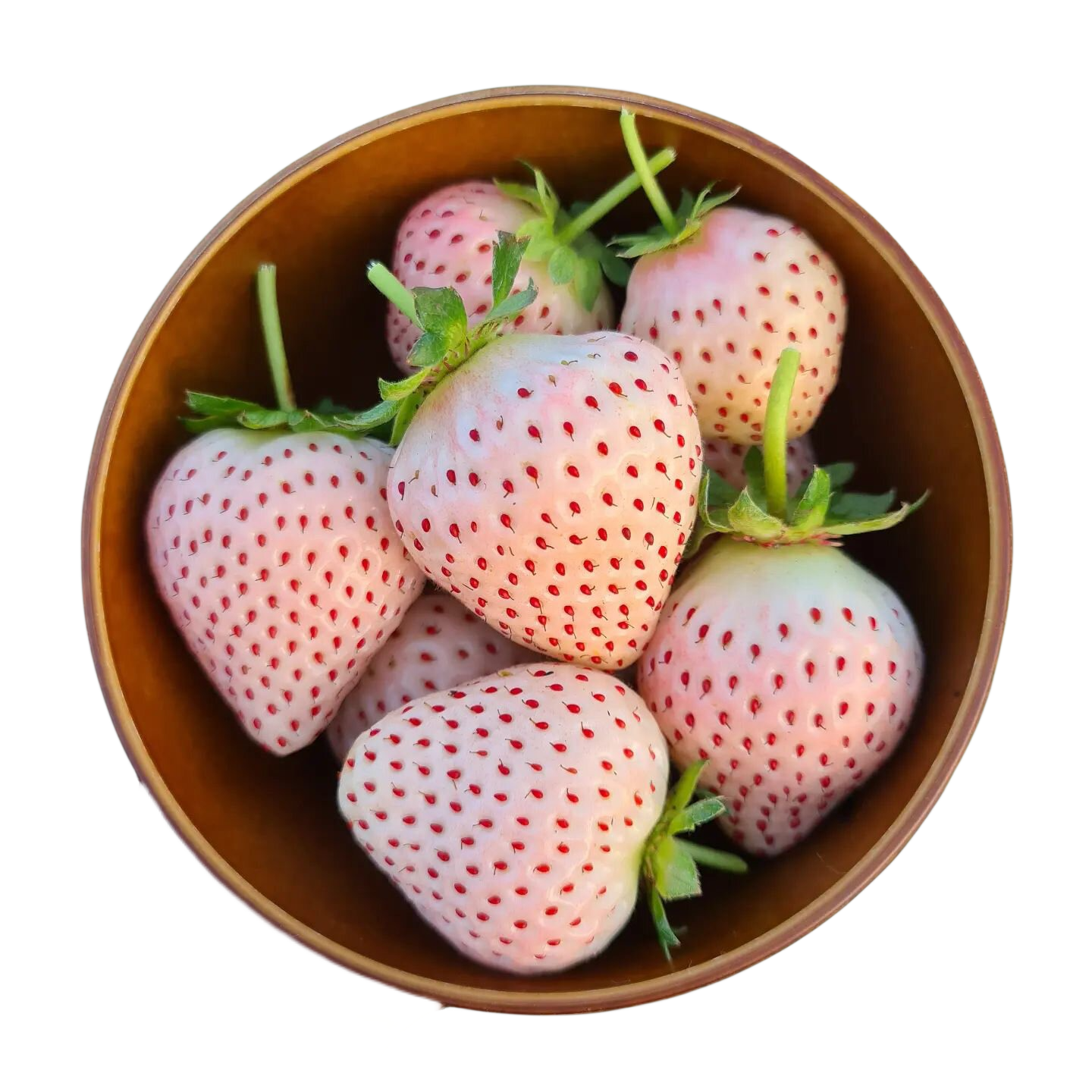 ��ʰ�ǡ����ˡ���ѩ��ݮ�׷�ɫ���ݮˮ������ʥ�������������Ů����Ʒ ����ɫ��ѩ�������� 2��500g���װح˳�����