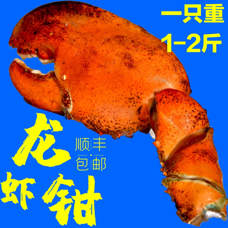 榕毅鲜生网红波士顿龙虾钳子生冻大龙虾钳子肉大钳子特大脸蟹脚大夹子