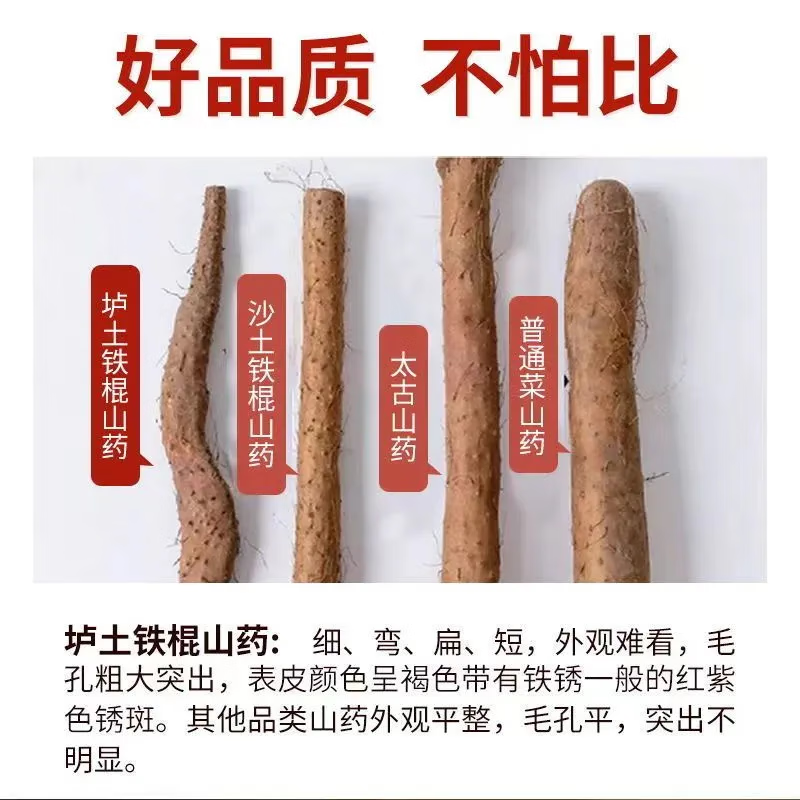 译优农【顺丰速运】河南焦作温县垆土铁棍山药新鲜铁杆怀山新鲜现挖淮山 净重 5斤 【50-60cm】特选装