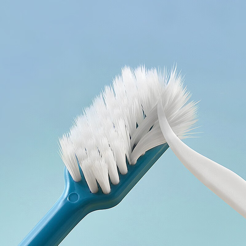 RAOYI成人牙刷软毛呵护牙龈家用待客软毛牙刷 【护龈轻柔款】 10支