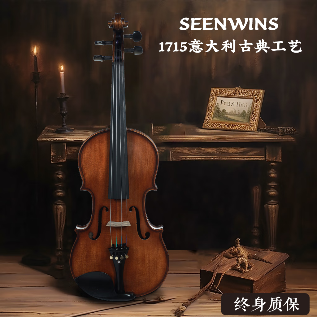 圣维斯（SEENWINS）SEENWINS圣维斯SW100手工实木小提琴初学者儿童考级入门成人初学 SEENWINS SW100 升级独板下单备注尺寸