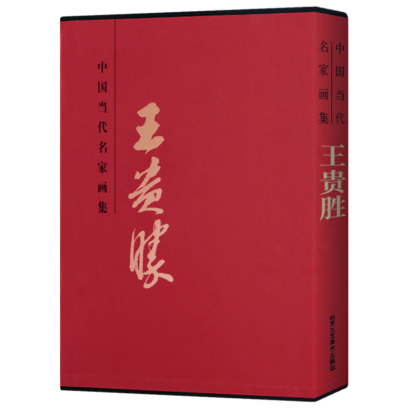 中国当代名家画集:王贵胜 贾德江 书籍