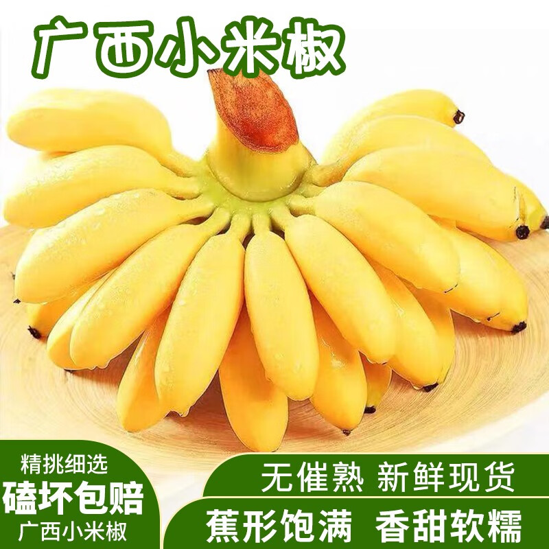 产地直发 现摘香蕉新鲜水果生鲜新鲜应季 优选小米蕉5斤为保新鲜，发六分熟