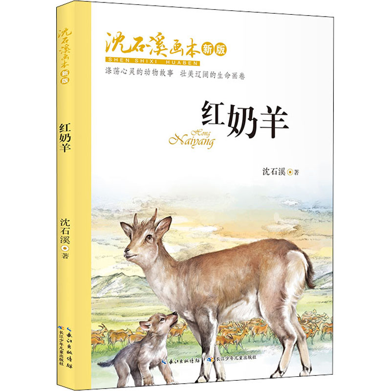 红奶羊 幼儿图书 绘本 早教书 儿童书籍