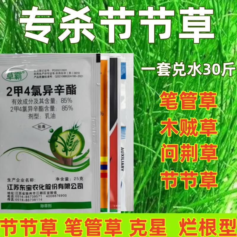 节节草除草剂木贼笔管草笔筒草克星烂根药水花生灭杀除草药剂 235g