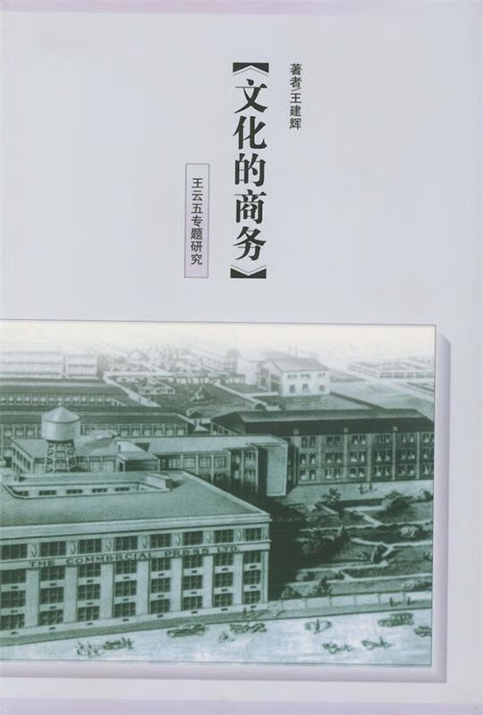 文化的商务 王建辉 著【书】