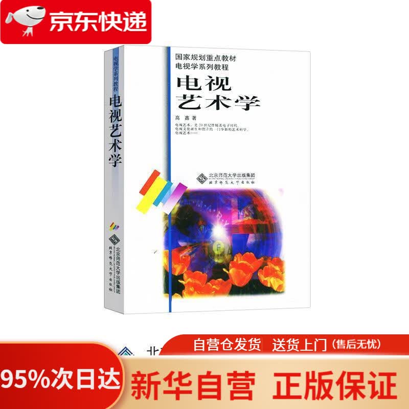 【新华书店正版】电视艺术学 高鑫 北京师范大学出版社 9787303045266