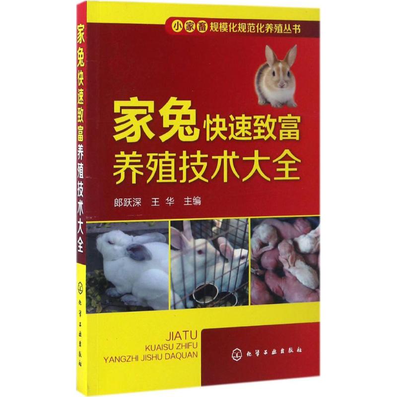 家兔快速致富养殖技术大全