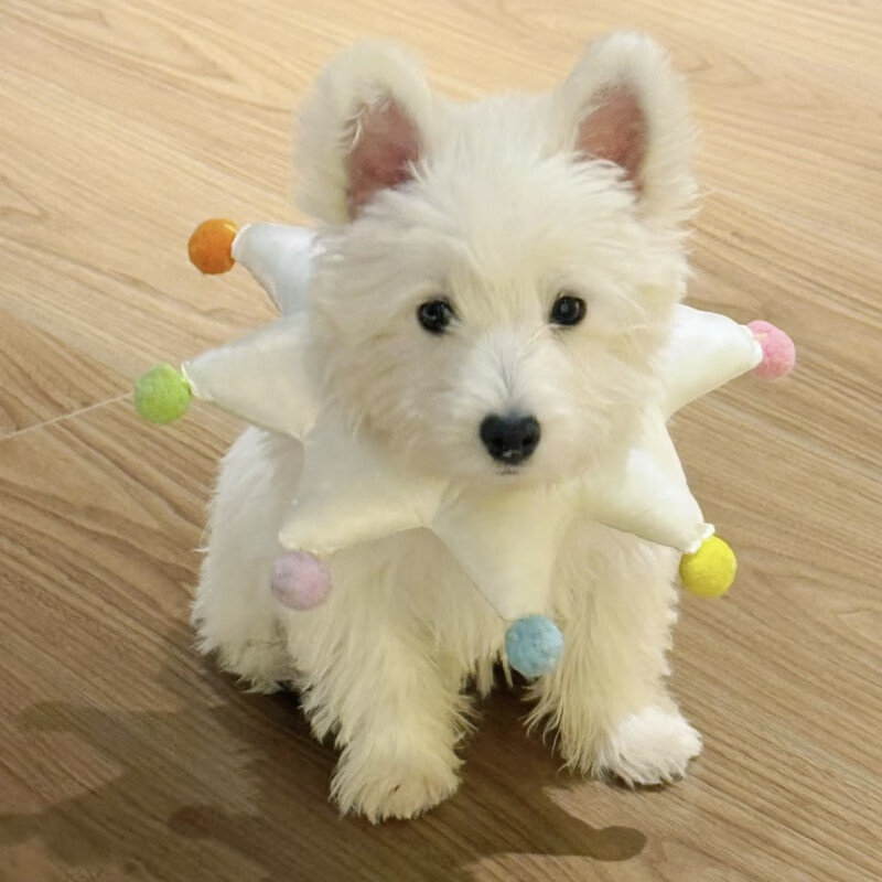 wcz马戏团狗狗项圈伊丽莎白圈防舔宠物绝育头套可调节防抓防咬高颜值