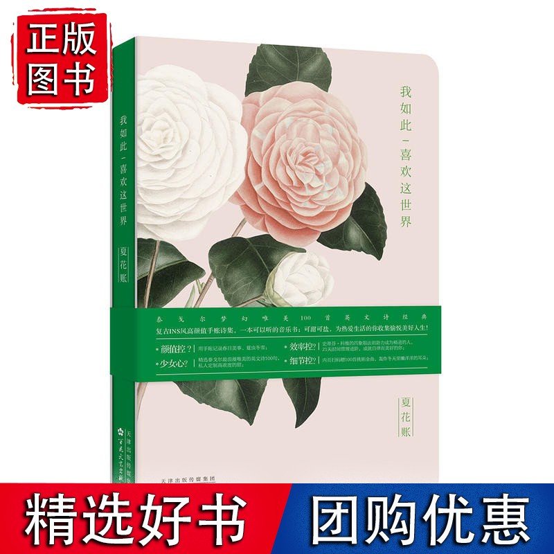 夏花账：我如此喜欢这世界