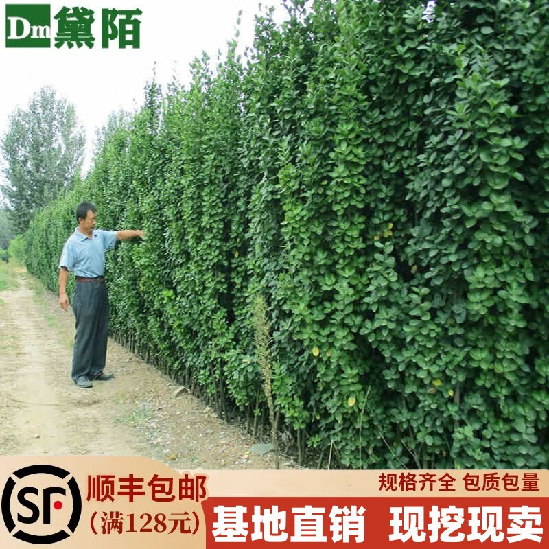 ��İ��������������Χǽ��ʴ�Ҷ�����������編���������̻��ļ����� ����������2�׸ߡ�10�š� ������ 260Ԫ��2��(��130Ԫ/��)