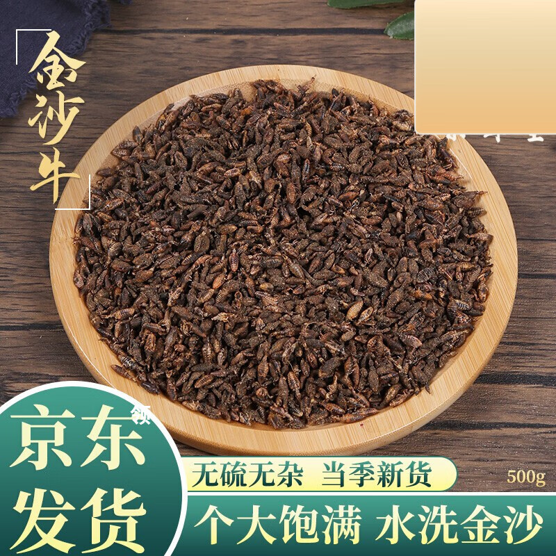 北京同仁堂原料 金沙牛中药材精选特级地牯牛虫 干货沙鸡地拱沙钻虫