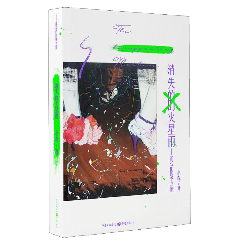 消失的火星雨