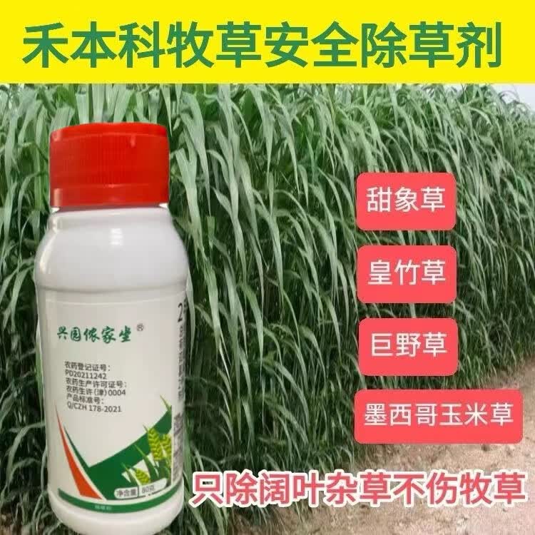 牧草除草剂皇竹草甜象草除草剂巨菌草墨西哥玉米草牧草专用除草剂 80g