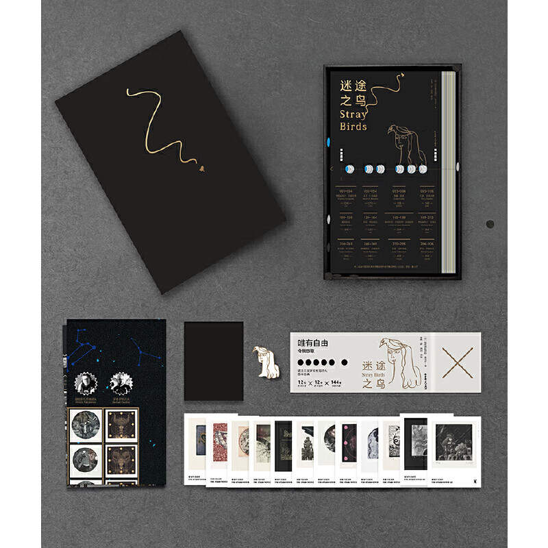 迷途之鸟（12位当代艺术家同题原创画作;附赠大海报,12星座手绘藏书票;泰戈尔诞辰160周年纪念版徽章）
