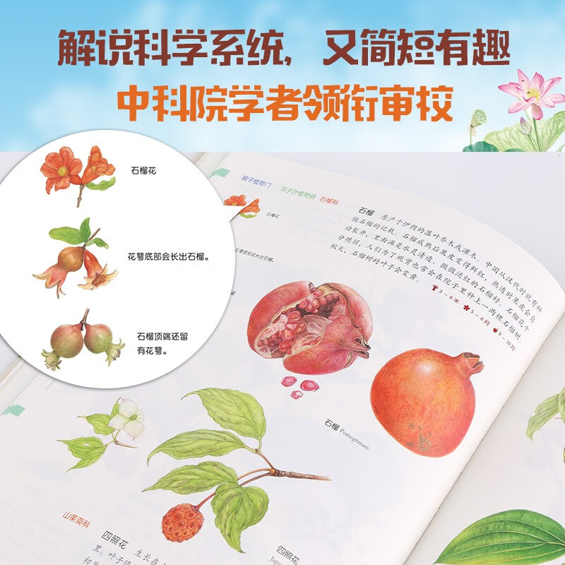给孩子的自然图鉴（套装共2册）【7-10岁】 儿童科普 详情图
