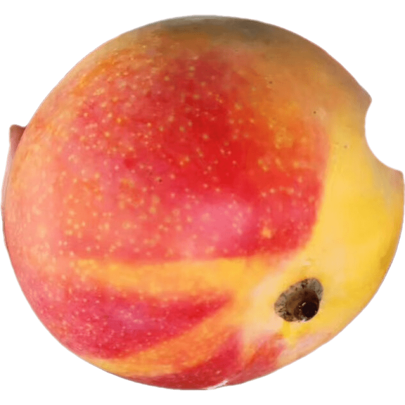 ũ˺ϰâ ˳ â Ӧˮ  Ʒ 8Ӵĭ( ) 198Ԫ