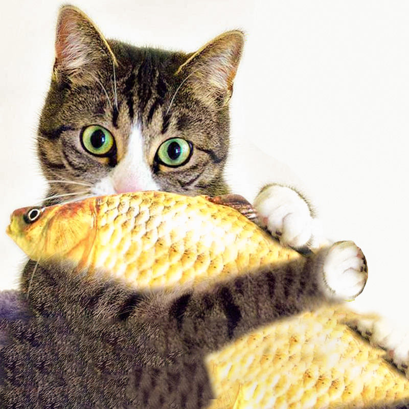猫玩具猫薄荷逗猫玩具鱼猫抱枕草鱼宠物仿真毛绒猫咪鲤鱼玩具 鲫鱼