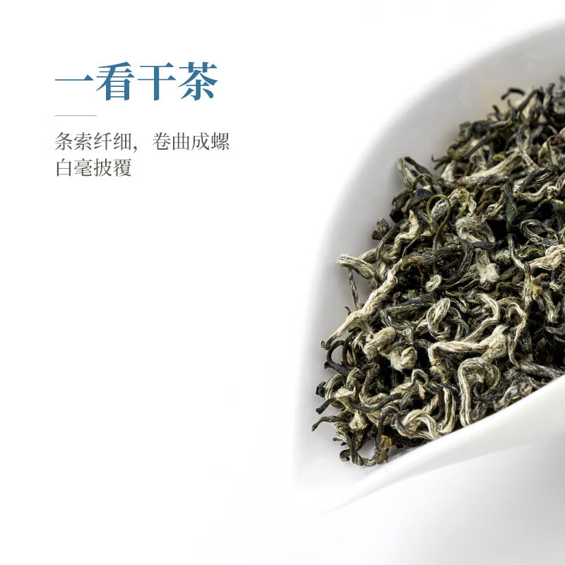 盧正浩2024年新茶上市洞庭碧螺春青白正宗綠茶明前一級茶葉自己喝