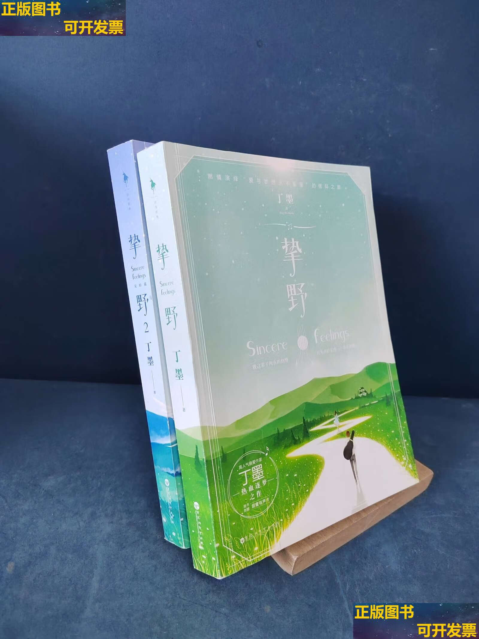 丁墨的《挚野》