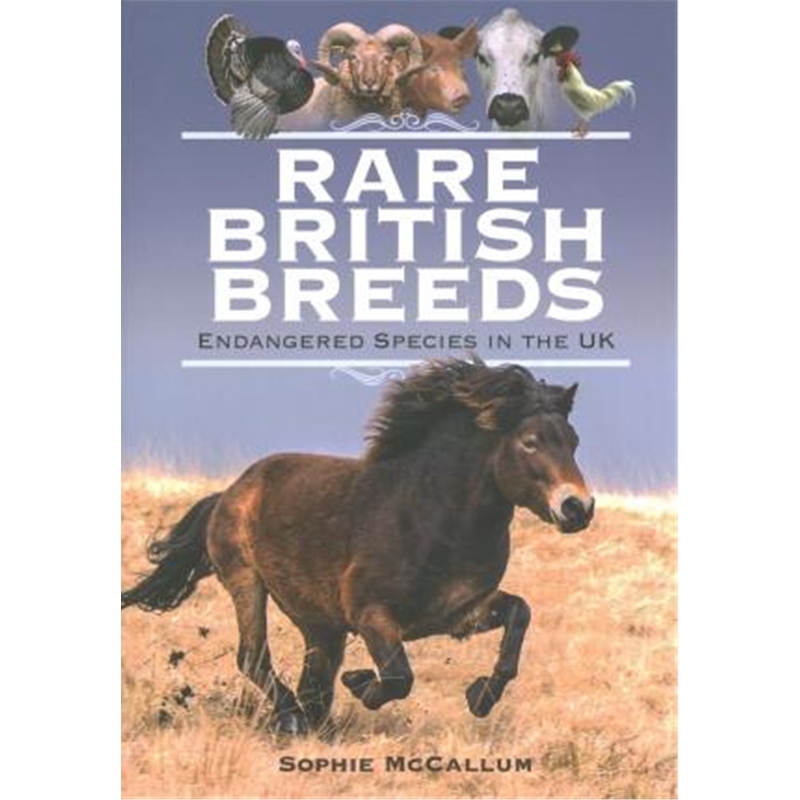 预订rare british breeds:endangered species in the