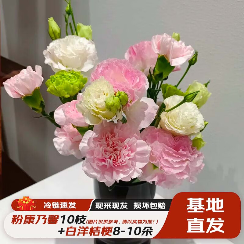 简势（jianshi）品质鲜花玫瑰花康乃馨百合向日花束云南昆明基地源头直发 白桔梗180-200g+粉康10枝