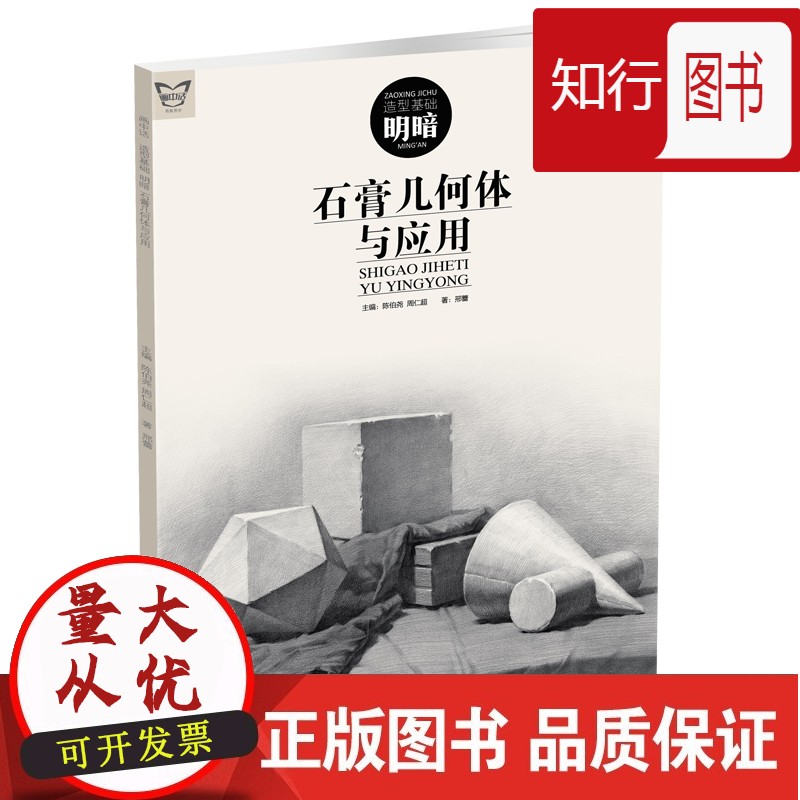造型基础明暗石膏几何体与应用画中话邢蕾素