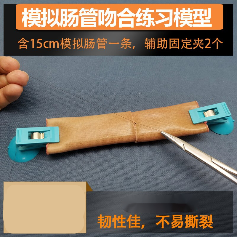 腹腔镜肠管肠肠端端吻合缝合练习手术模拟训练肠道模型教学模具 模拟