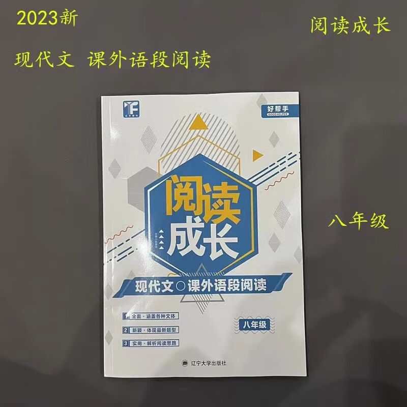 2023新版亿丰成长现代文课段