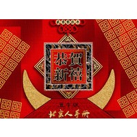 北京人手册(2009新版)【正版图书】