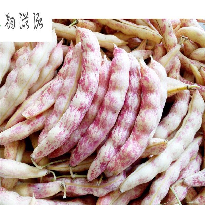 宜享健康东北特产油豆角黄金勾钩黄豆角沟挤豆八月忙新鲜蔬菜黄金钩