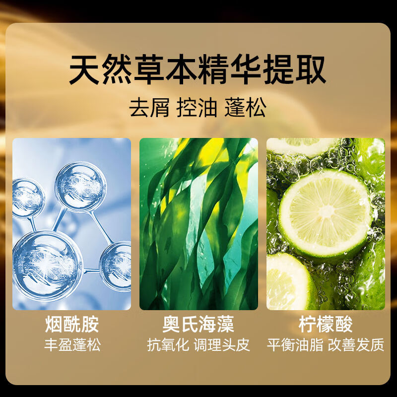 AMAXY无硅油控油洗护套装 持久留香清爽洗头膏护发洗发水套装 【爆款】控油蓬松洗发水400ml