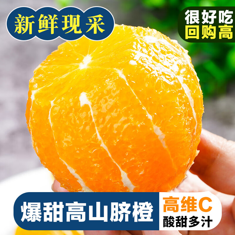 庾丰 江西赣南早脐橙 新鲜水果整箱孕妇手剥甜橙子 团购年货节送礼 10斤装-净果9斤 单果110-220g 源头产地直发 品质甄选