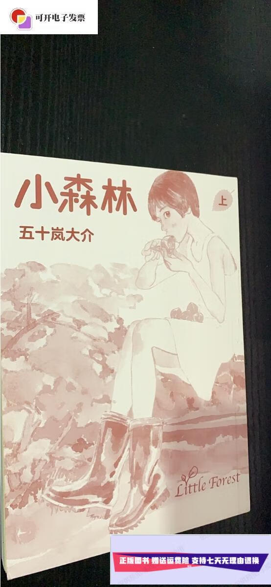 【二手9成新】小森林五十岚大介(上下合售) /五十岚大介 四川美术出版