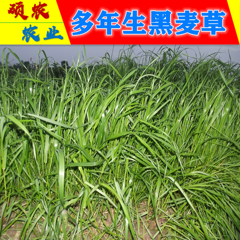 如何查看花草林木类的历史价格|花草林木类价格比较
