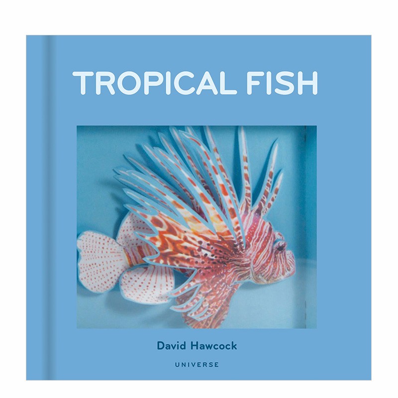 【预售】tropical fish: pop-up 热带鱼立体书 英文原版儿童童书善本