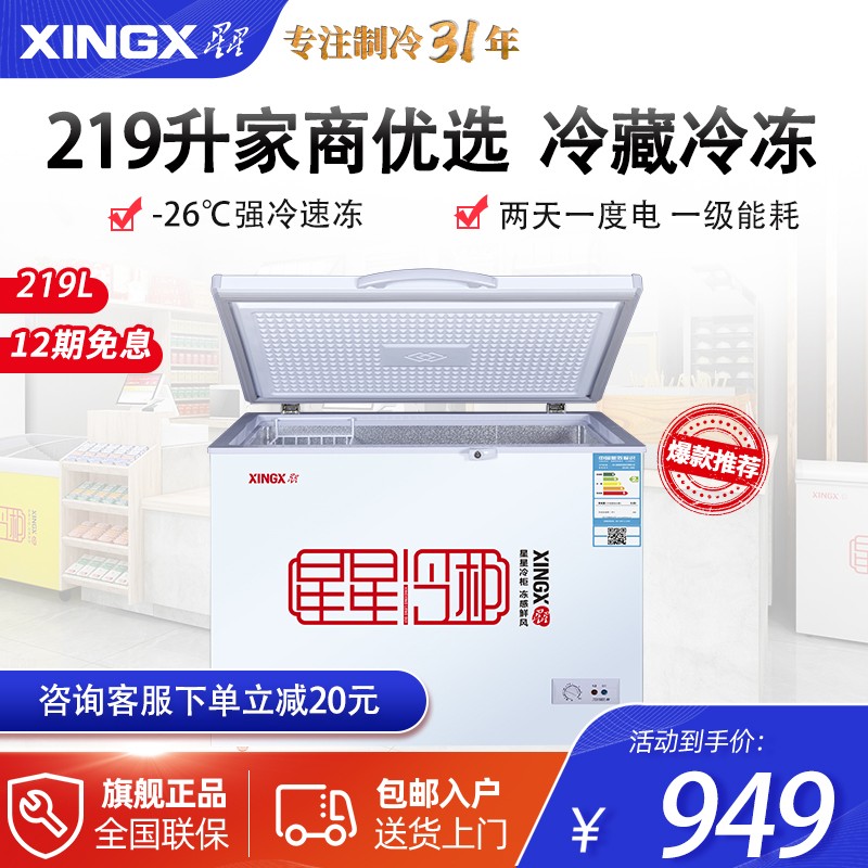星星（XINGX）商用单温大冰柜风直冷 大容量雪糕柜冷藏冷冻