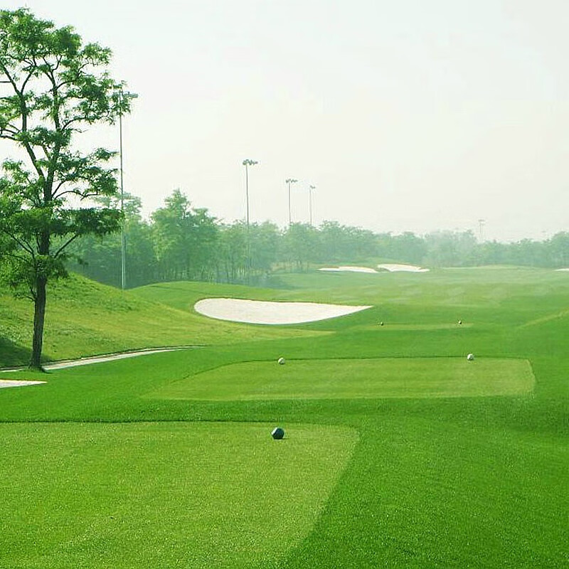 芳东草坪种子剪股颖牧草种子球场庭院耐寒耐旱草种/剪股颖a40.25kg
