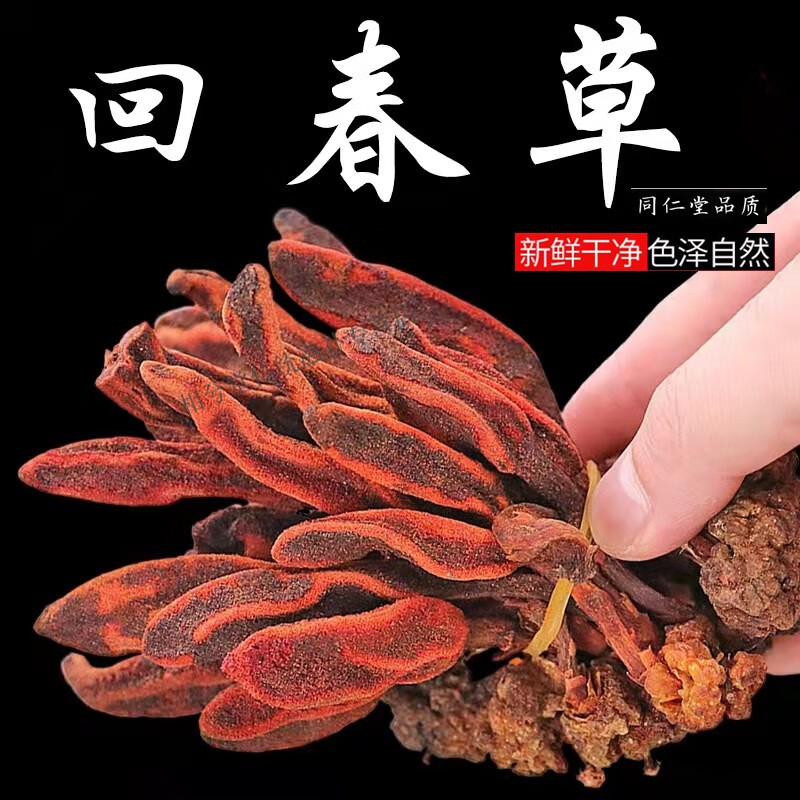 北京同仁堂正宗野生回春草名贵中药材回心草鹿茸灵芝顶天柱泡茶泡酒料