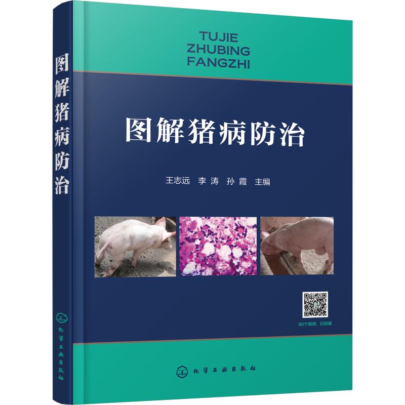图解猪病防治 王志远,李涛,孙霞 编 书籍