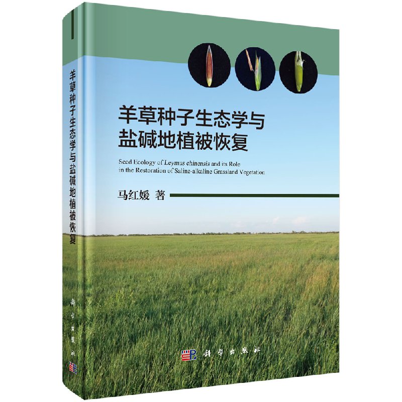 羊草种子生态学与盐碱地植被恢复