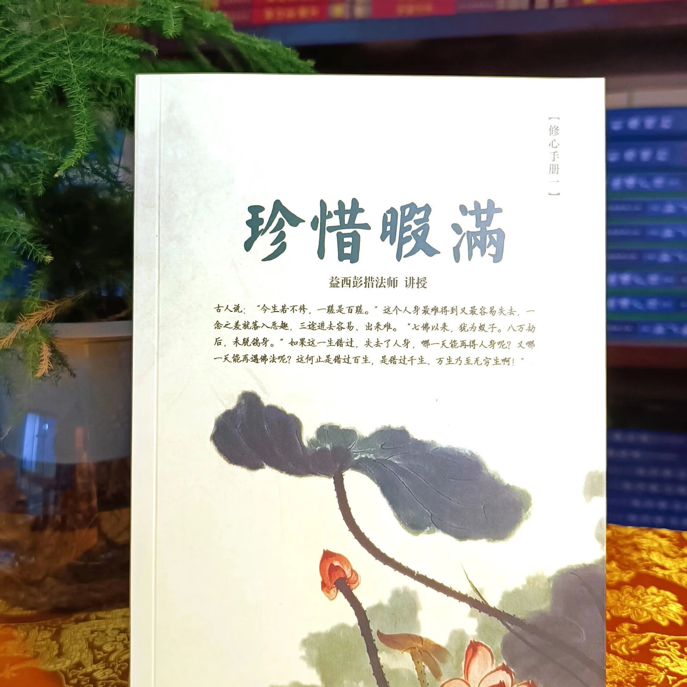 珍惜暇满 终于重新面世，不要再错过啦/益西彭措堪布